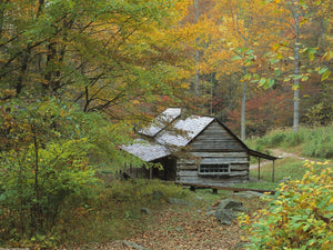 “REAL” Homesteader