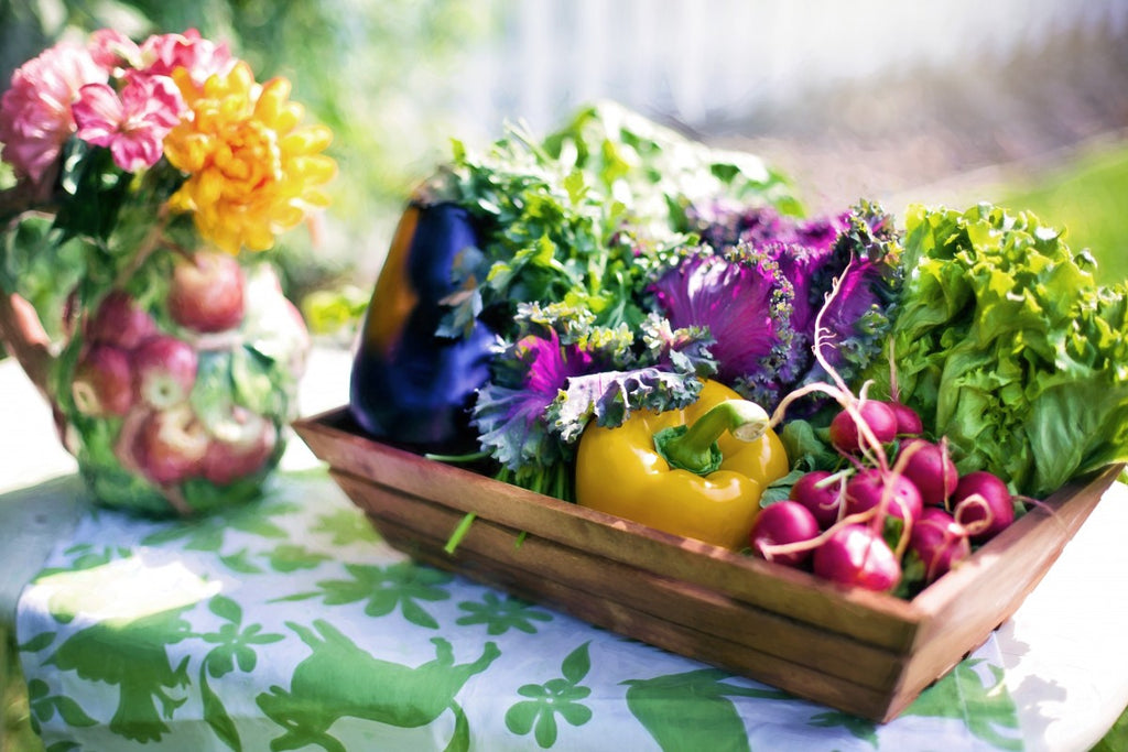 10 reasons for Organic Gardening